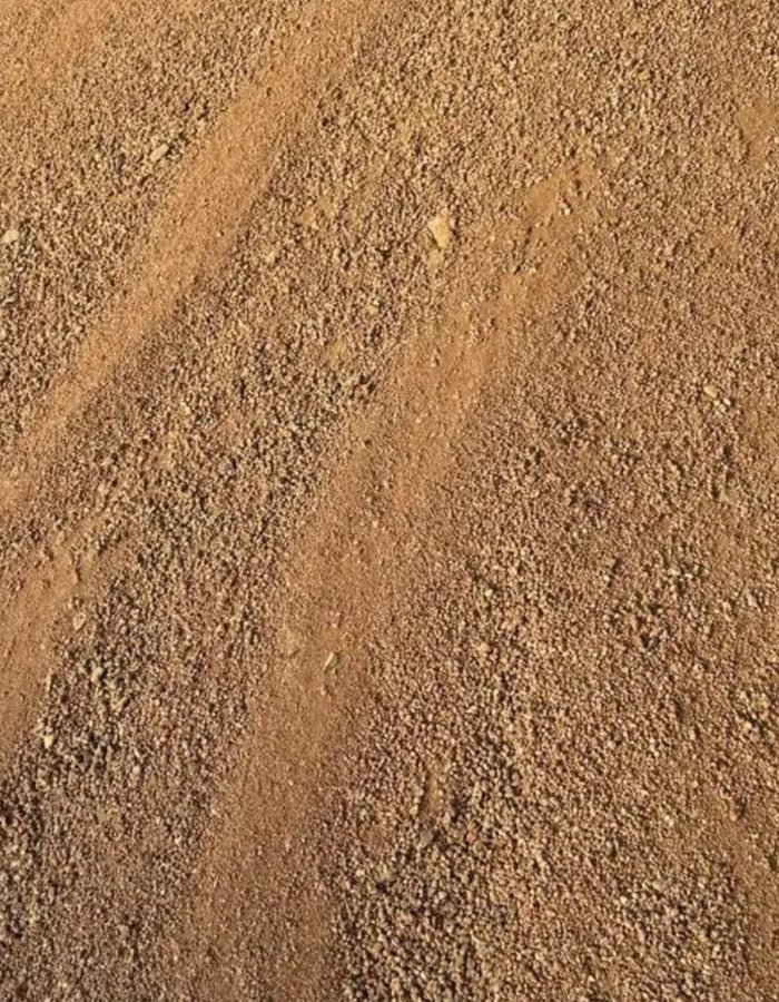 بيسكورس الطن